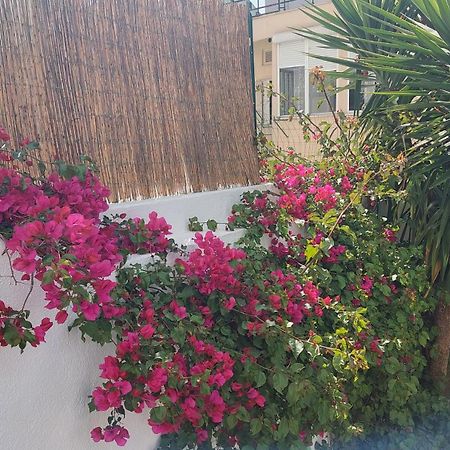 Apartment With Private Garden - Central Location Lisboa Eksteriør billede