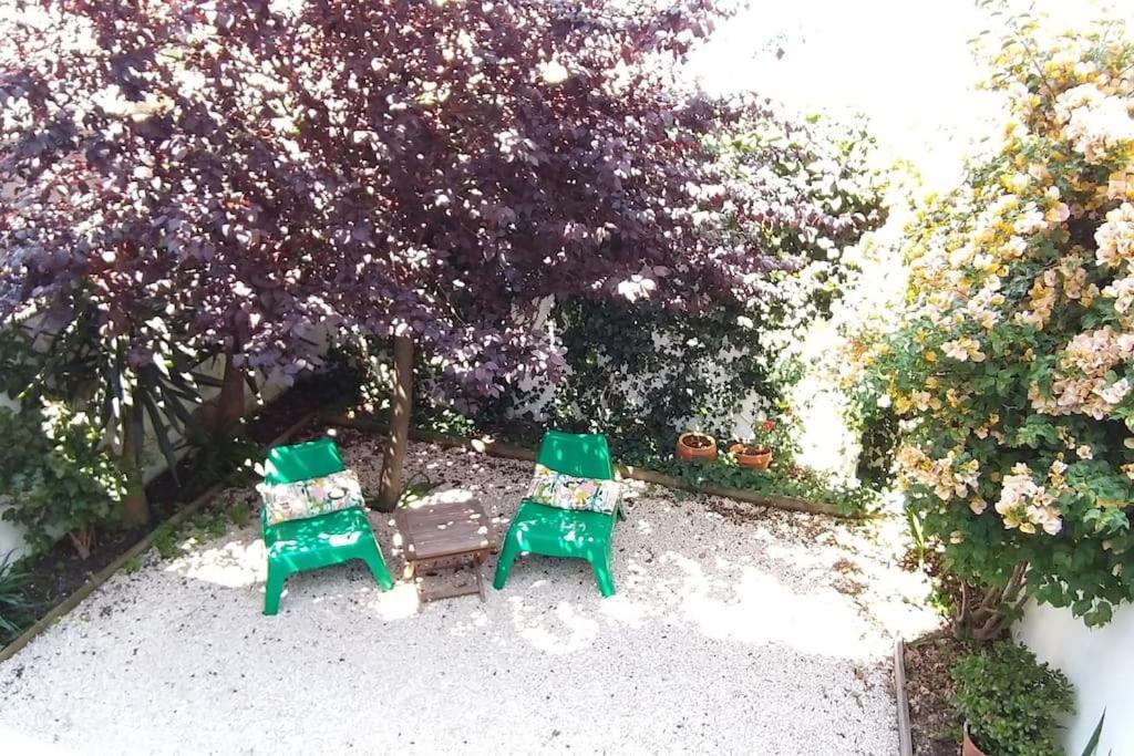 Apartment With Private Garden - Central Location Lisboa Eksteriør billede