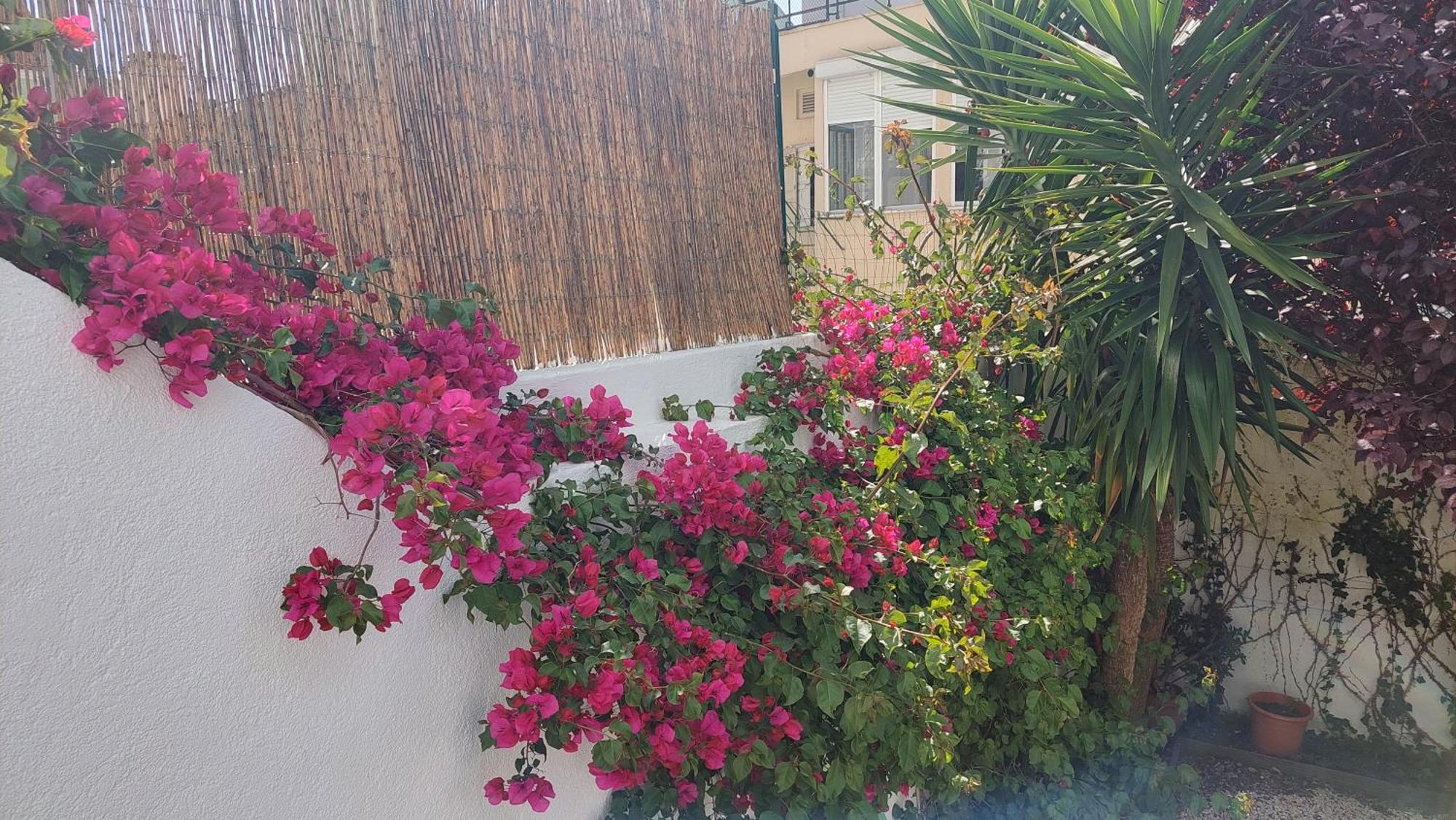 Apartment With Private Garden - Central Location Lisboa Eksteriør billede
